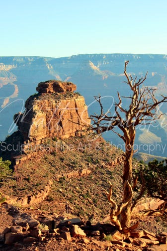 Grand Canyon Landscape. Matt Skulski - Photographer