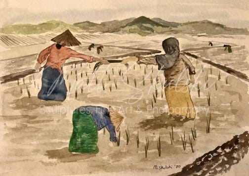 Orginal rice fields artwork by Matt Skulski. 