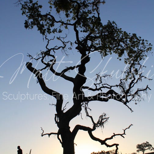 Matt Skulski - Photographer