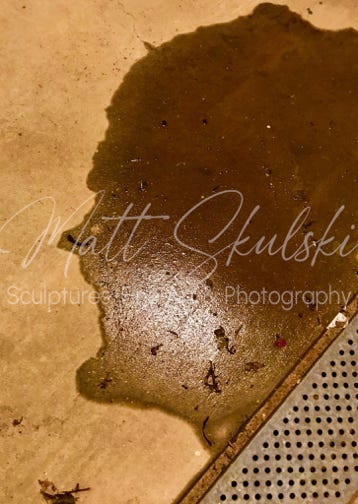Nature photo.  Matt Skulski - Photographer
