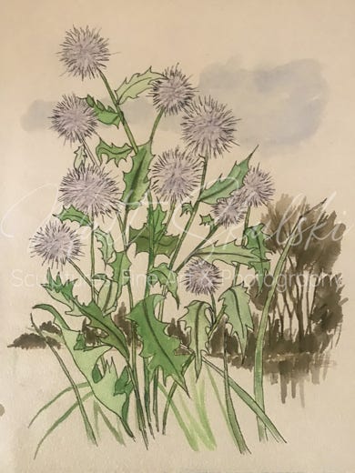Orginal flower watercolor artwork by Matt Skulski. 