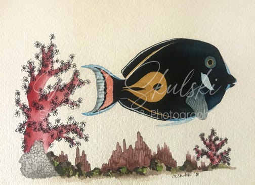 Original fish artwork by Matt Skulski. 
